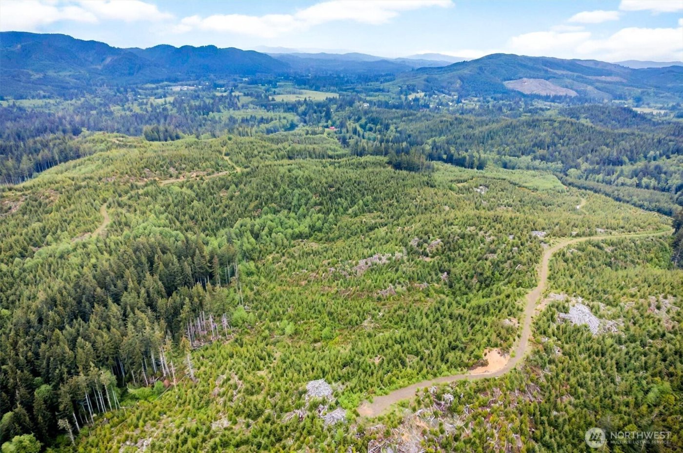 4 Parpala Road #4, Naselle, WA 98638