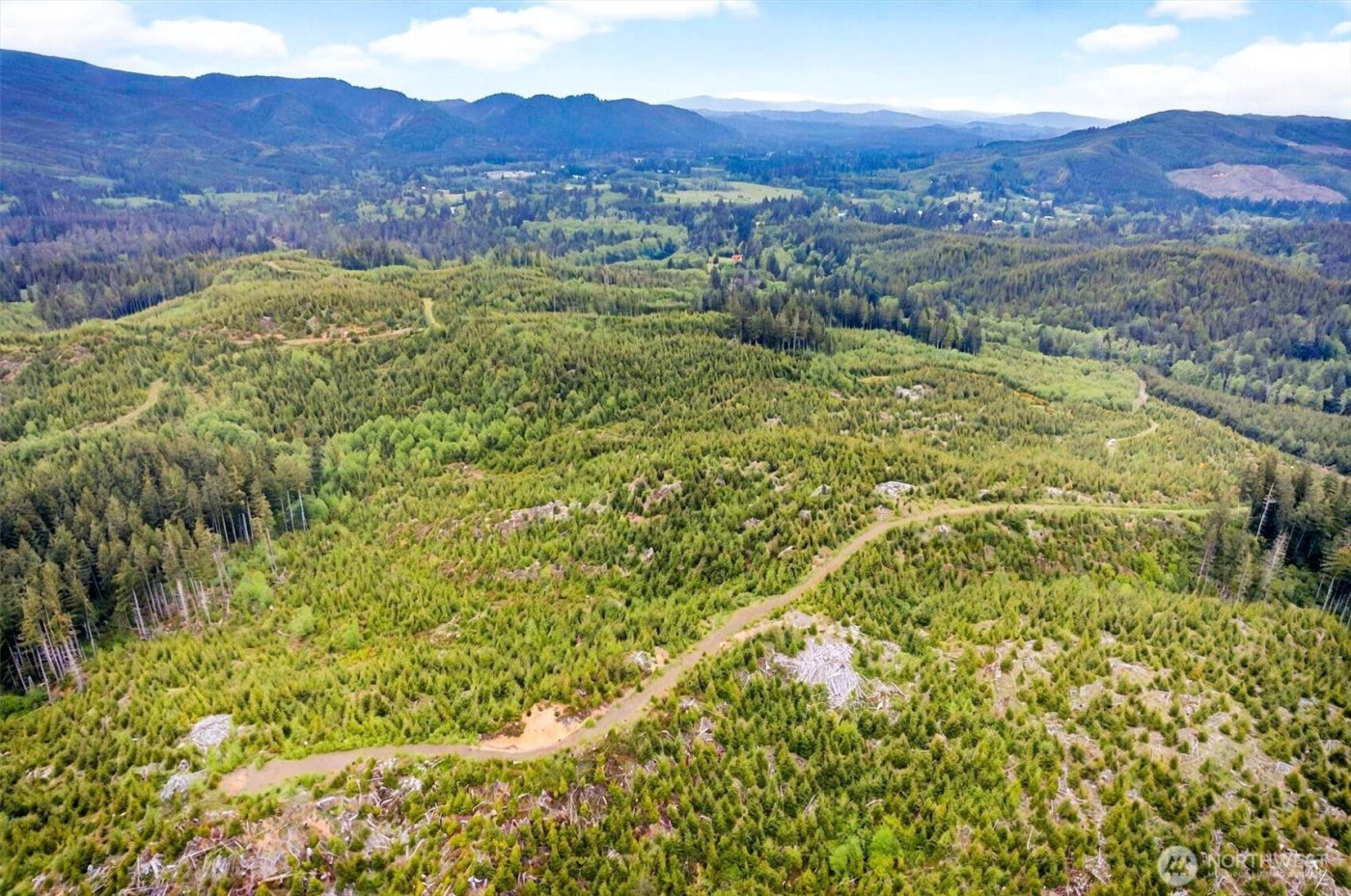 4 Parpala Road #4, Naselle, WA 98638