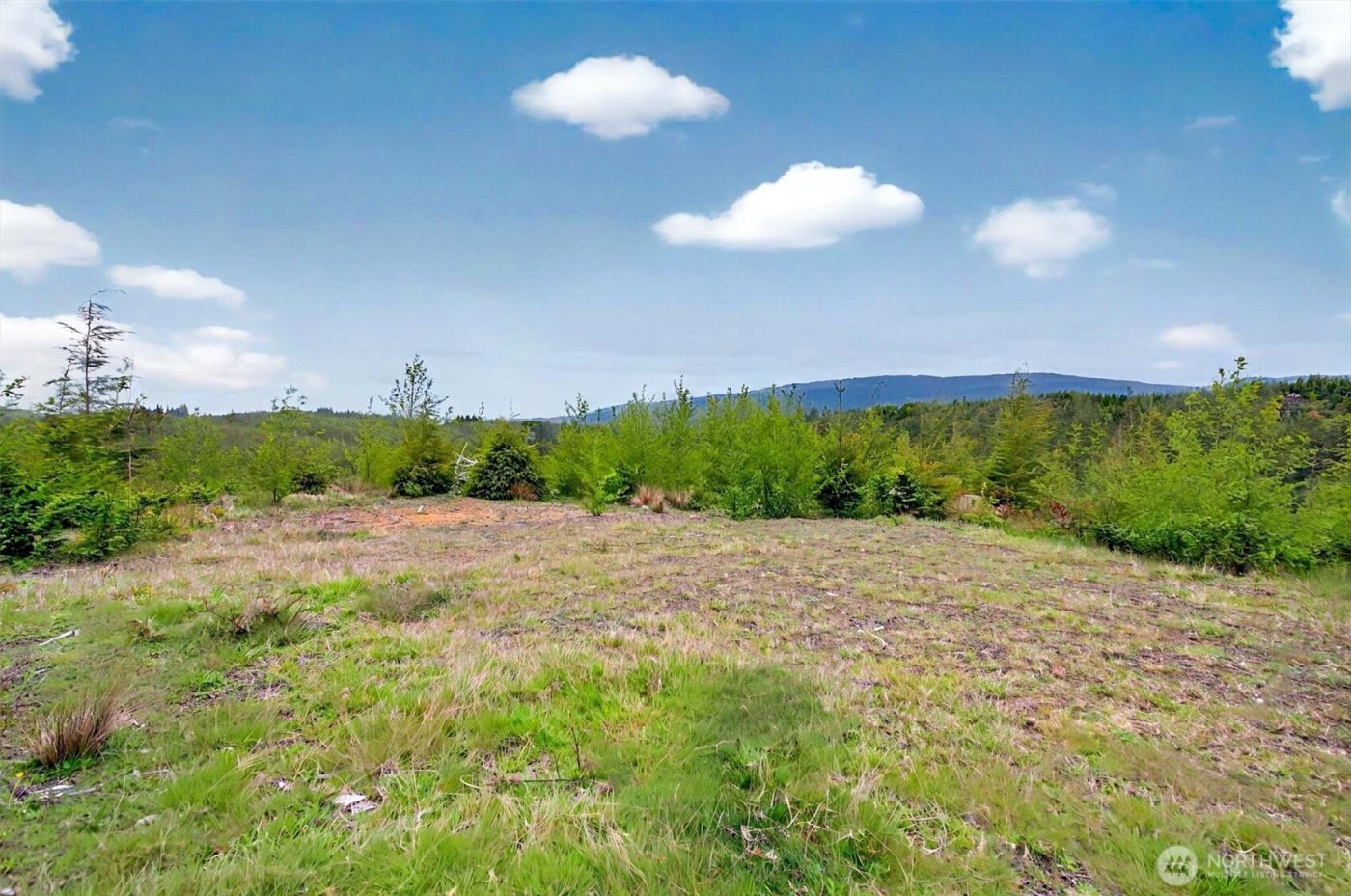 4 Parpala Road #4, Naselle, WA 98638