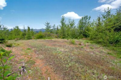 4 Parpala Road #4, Naselle, WA 98638 - Photo 4