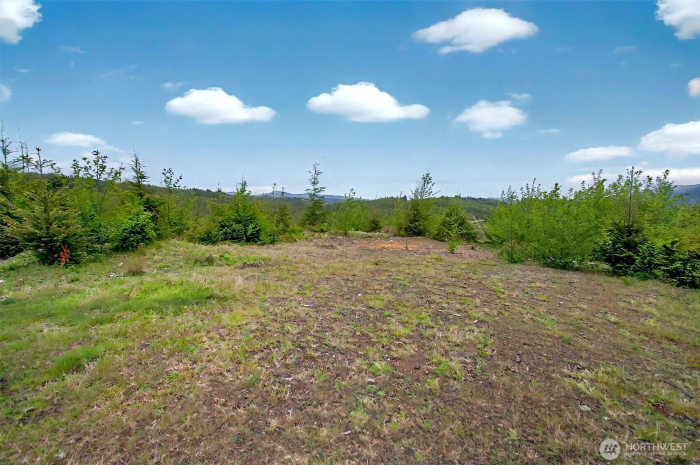 4 Parpala Road #4, Naselle, WA 98638