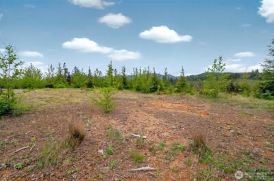 4 Parpala Road #4, Naselle, WA 98638 - Photo 6