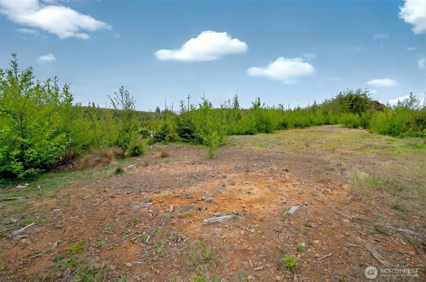 4 Parpala Road #4, Naselle, WA 98638