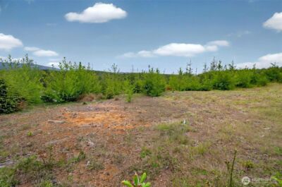 4 Parpala Road #4, Naselle, WA 98638 - Photo 8