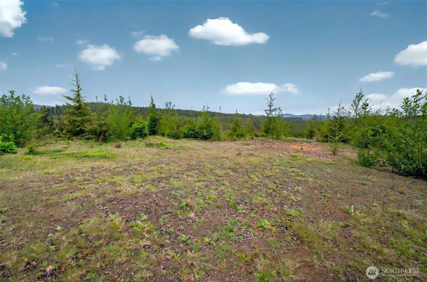 4 Parpala Road #4, Naselle, WA 98638