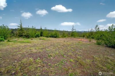 4 Parpala Road #4, Naselle, WA 98638 - Photo 9