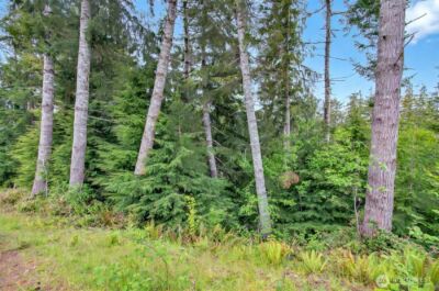 4 Parpala Road #4, Naselle, WA 98638 - Photo 10