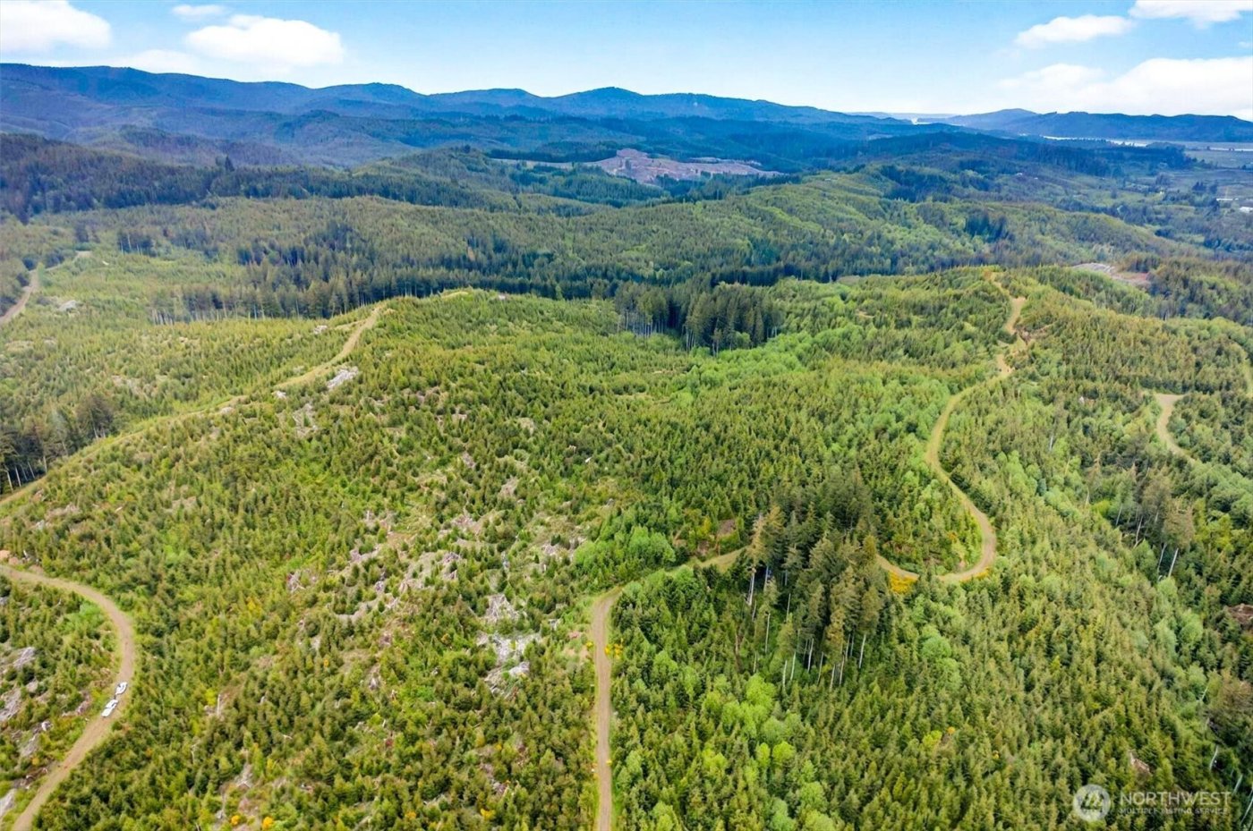 1 Parpala Road #1, Naselle, WA 98638