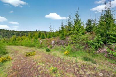 1 Parpala Road #1, Naselle, WA 98638 - Photo 3