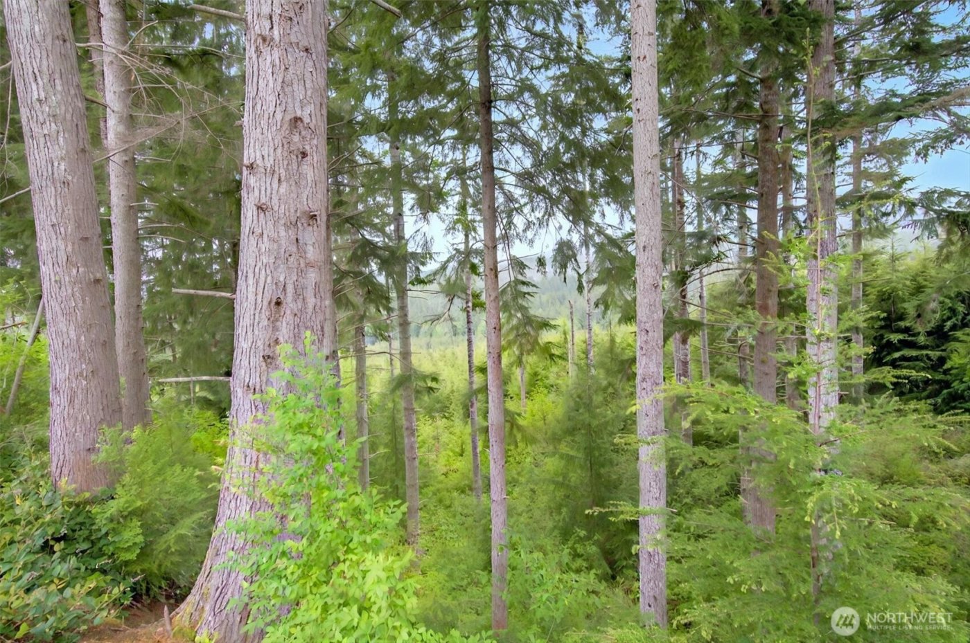 1 Parpala Road #1, Naselle, WA 98638