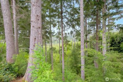 1 Parpala Road #1, Naselle, WA 98638 - Photo 5