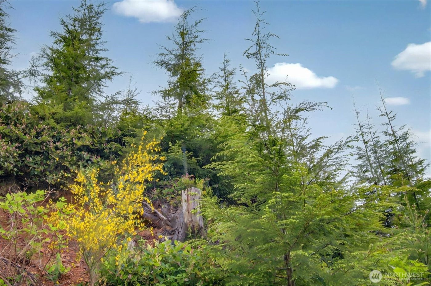 1 Parpala Road #1, Naselle, WA 98638