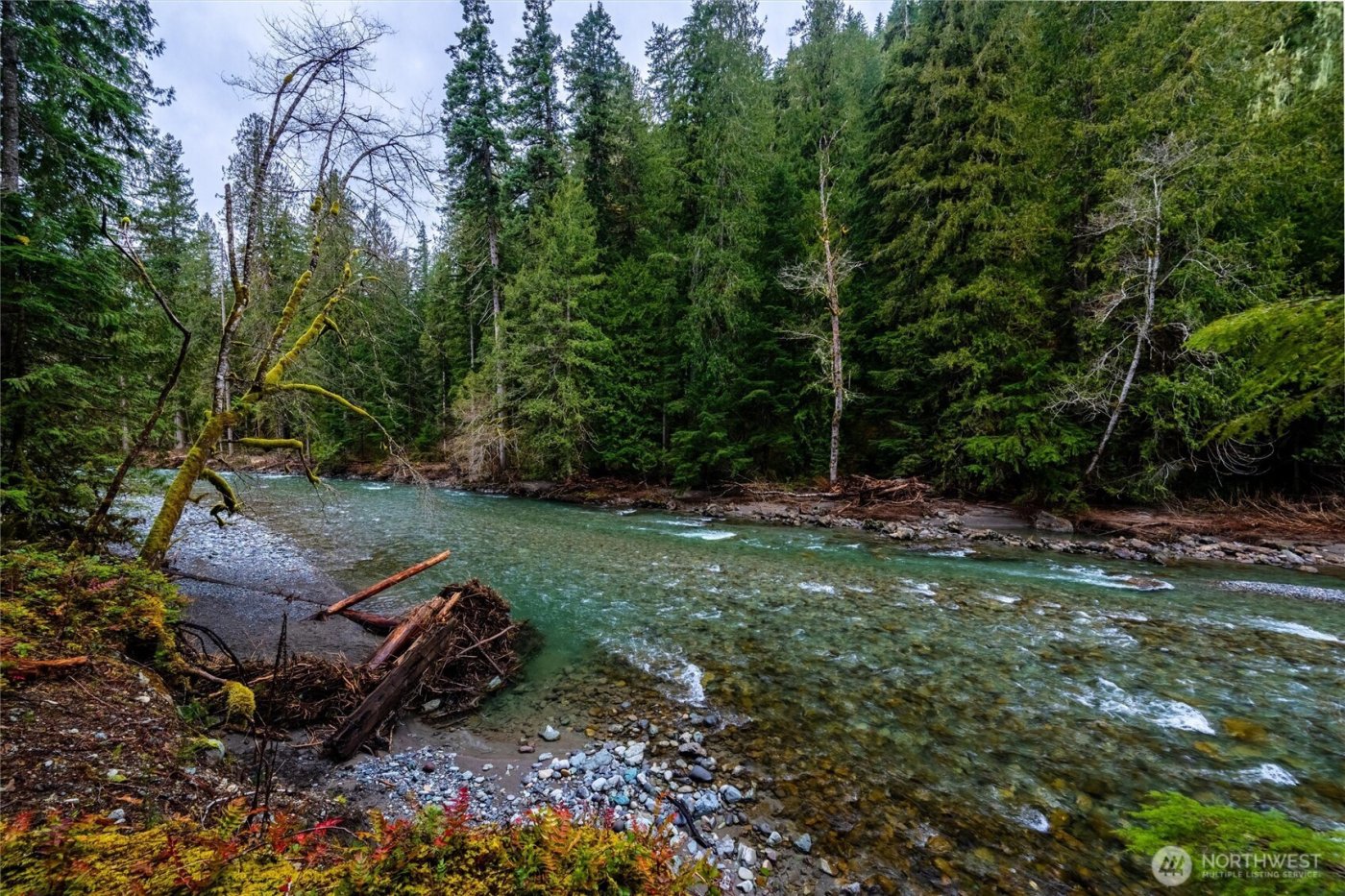 10500 Mt Baker Hwy #906, Deming, WA 98244