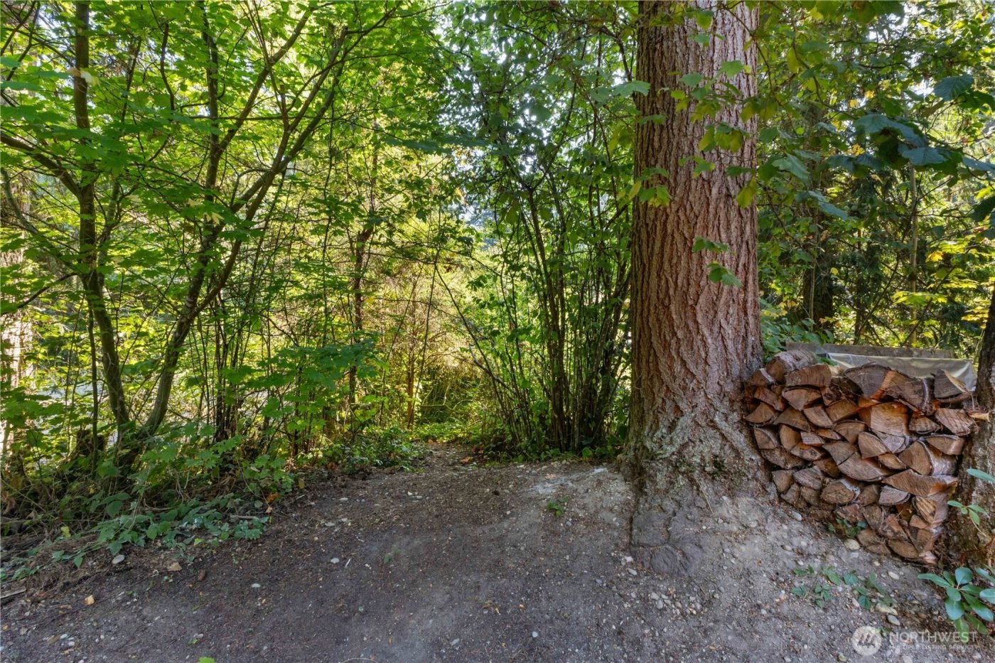 17738 N Beachside Drive SE, Yelm, WA 98597