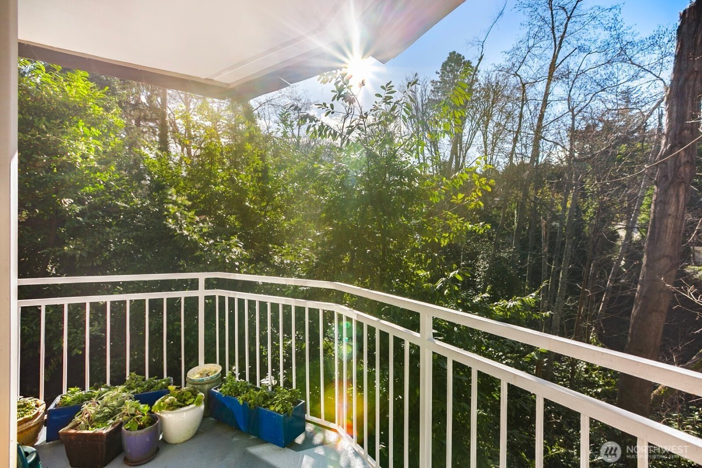 4309 34th Avenue W #103, Seattle, WA 98199