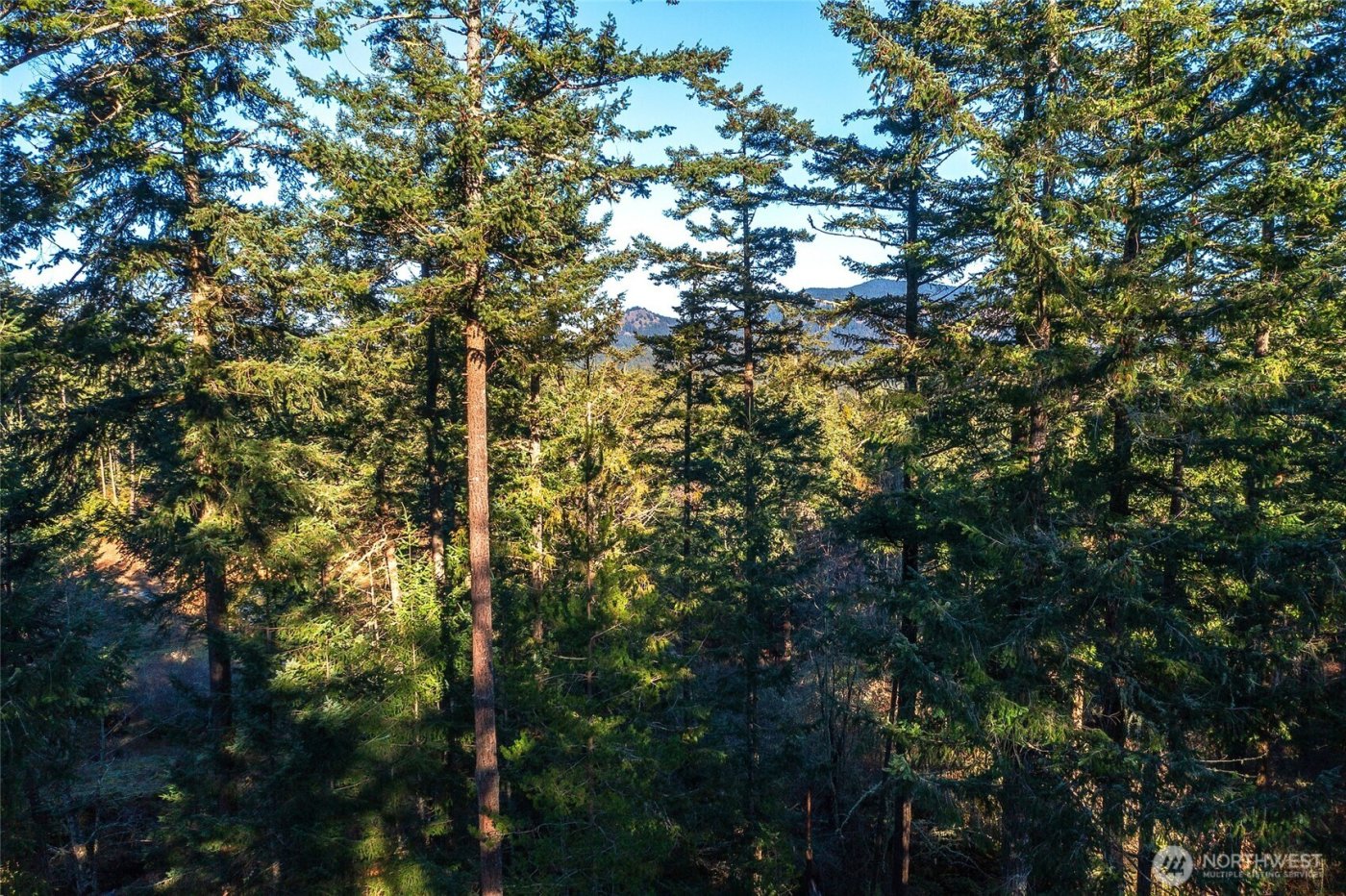 87 Levon Lane , Orcas Island, WA 98243