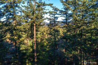 87 Levon Lane , Orcas Island, WA 98243 - Photo 37