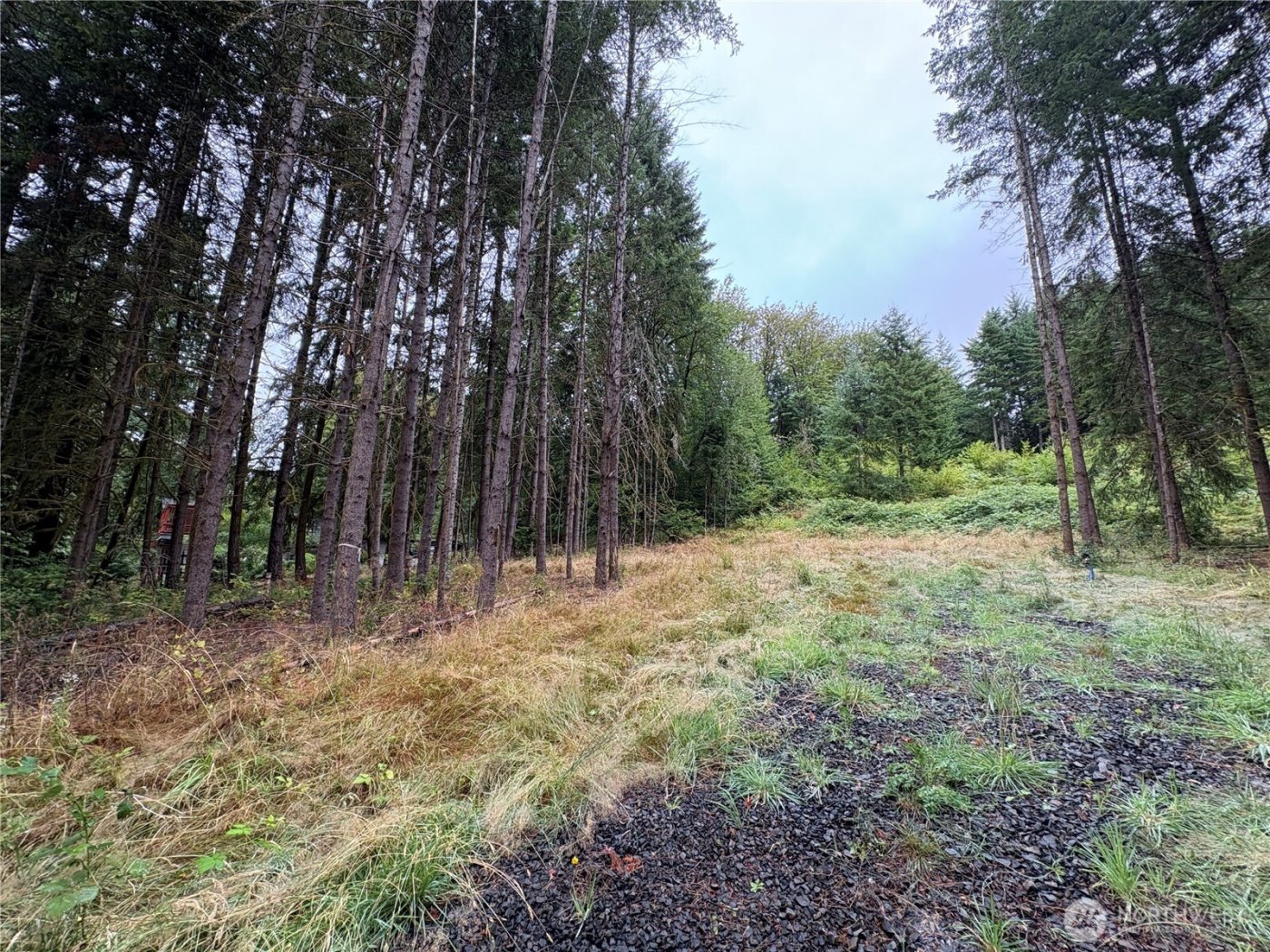 0 LOT B-D SE Rose Street , Winlock, WA 98596