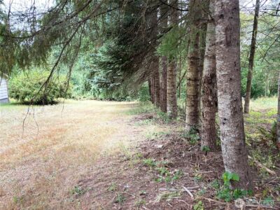 0 LOT B-D SE Rose Street , Winlock, WA 98596 - Photo 11