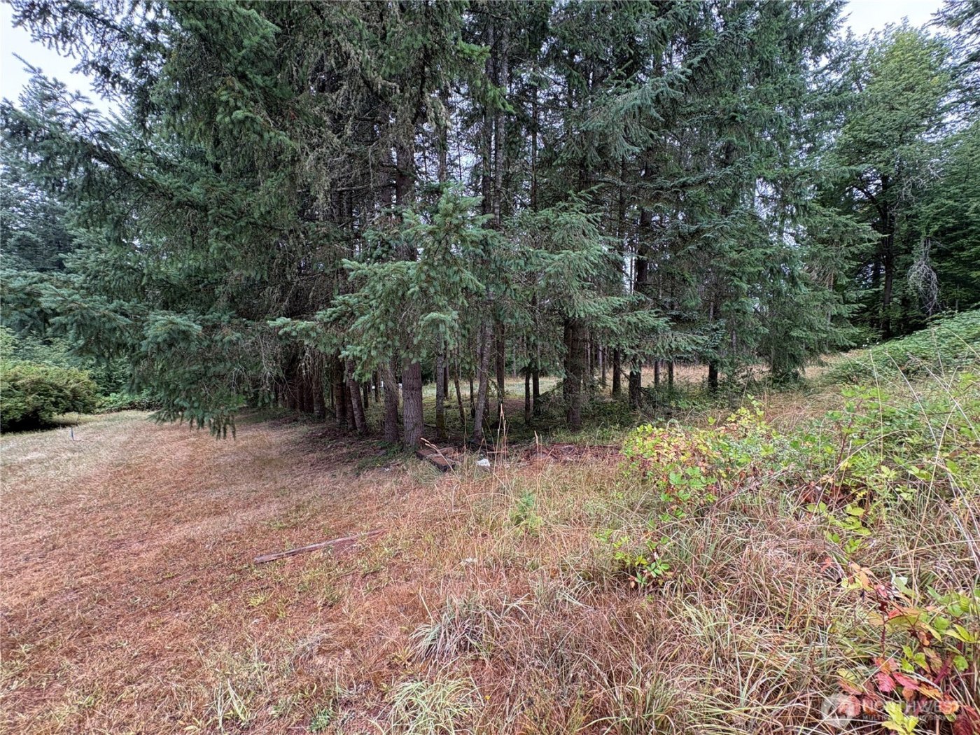 0 LOT B-D SE Rose Street , Winlock, WA 98596