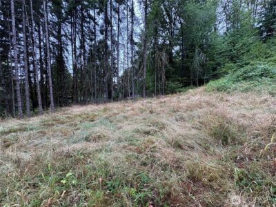 0 LOT B-D SE Rose Street , Winlock, WA 98596 - Photo 15