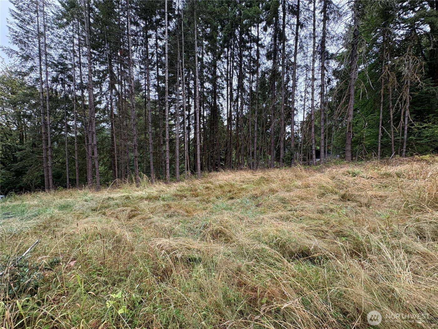 0 LOT B-D SE Rose Street , Winlock, WA 98596