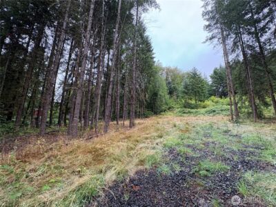 0 LOT B-D SE Rose Street , Winlock, WA 98596 - Photo 2