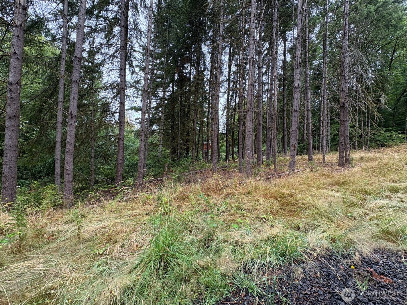 0 LOT B-D SE Rose Street , Winlock, WA 98596