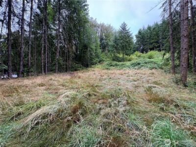 0 LOT B-D SE Rose Street , Winlock, WA 98596 - Photo 5