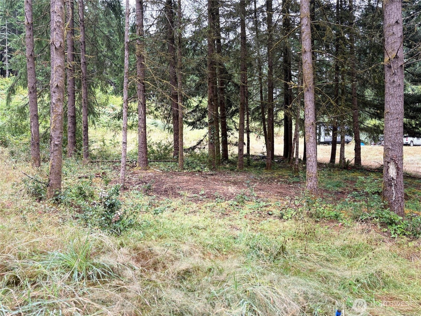 0 LOT B-D SE Rose Street , Winlock, WA 98596