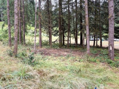 0 LOT B-D SE Rose Street , Winlock, WA 98596 - Photo 7