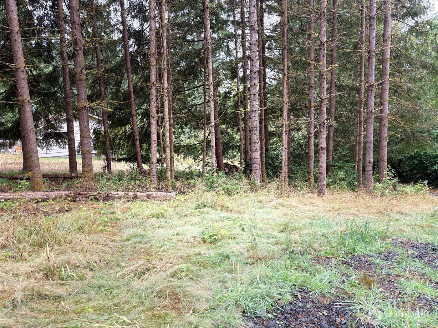 0 LOT B-D SE Rose Street , Winlock, WA 98596