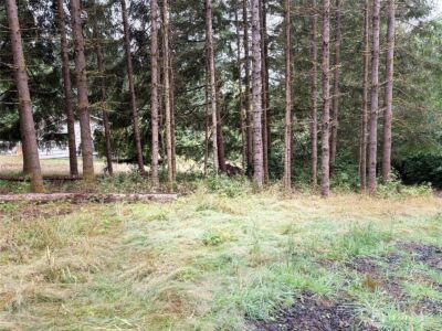 0 LOT B-D SE Rose Street , Winlock, WA 98596 - Photo 8