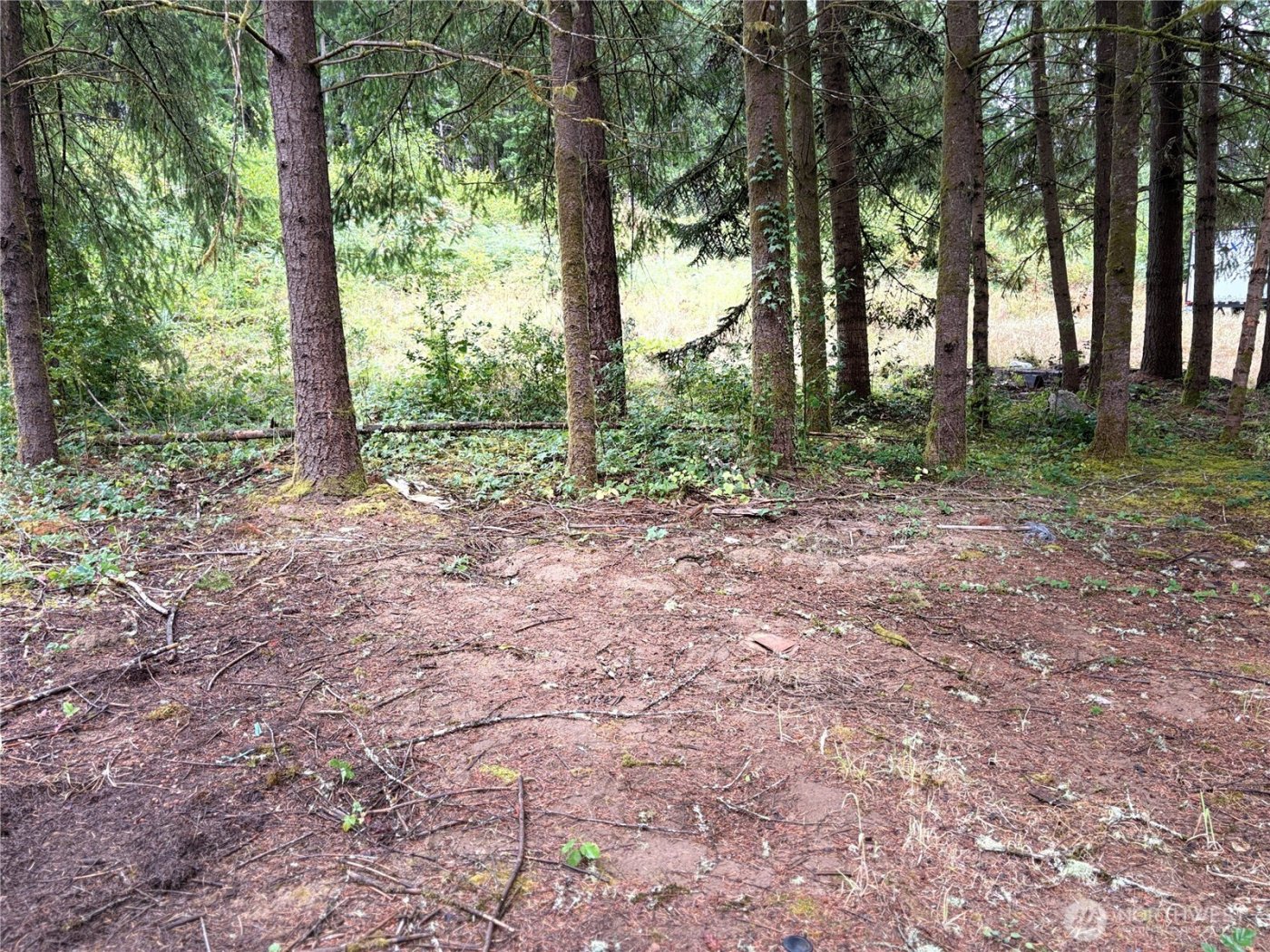 0 LOT B-D SE Rose Street , Winlock, WA 98596