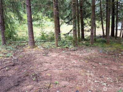 0 LOT B-D SE Rose Street , Winlock, WA 98596 - Photo 9