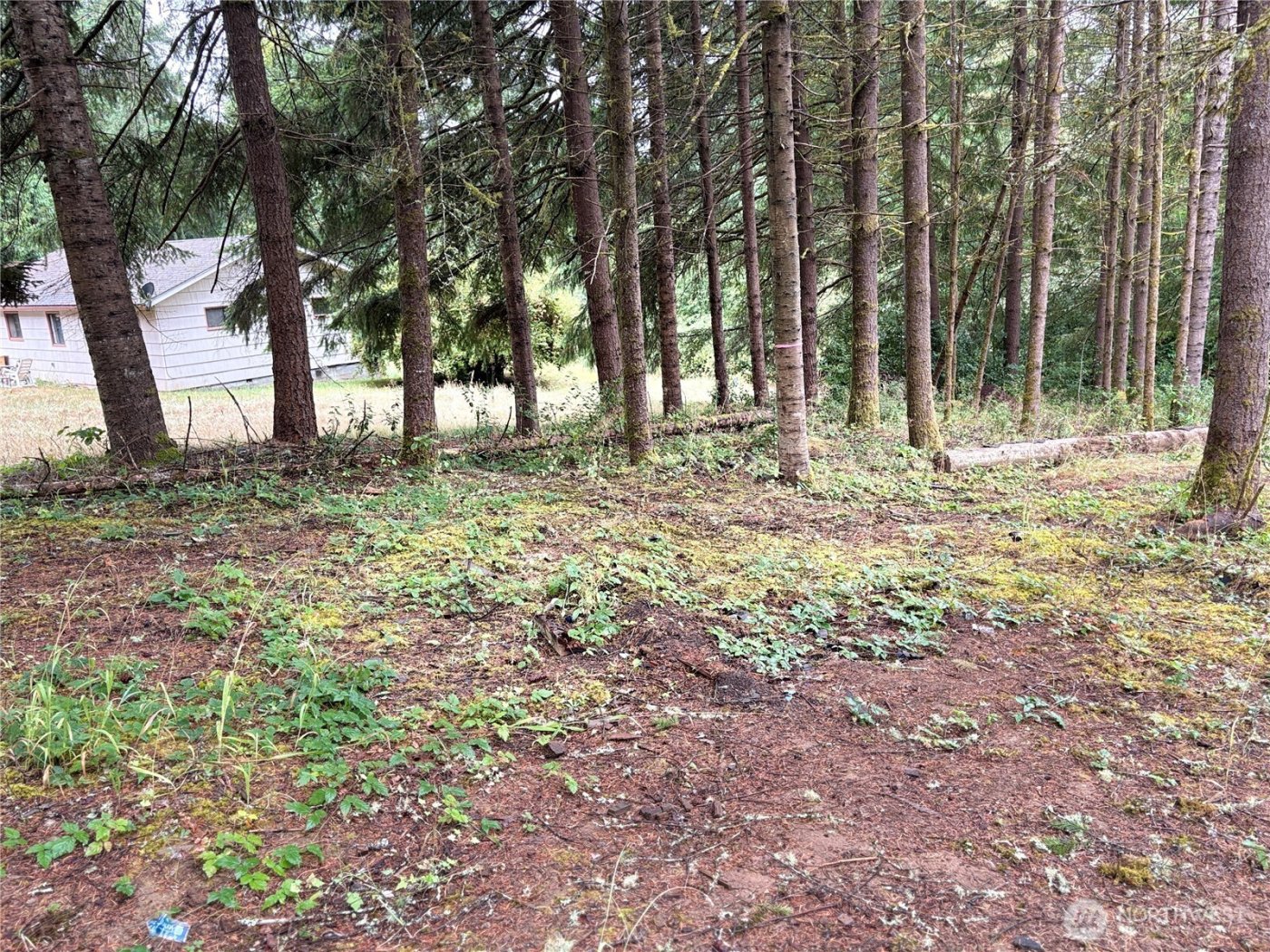 0 LOT B-D SE Rose Street , Winlock, WA 98596