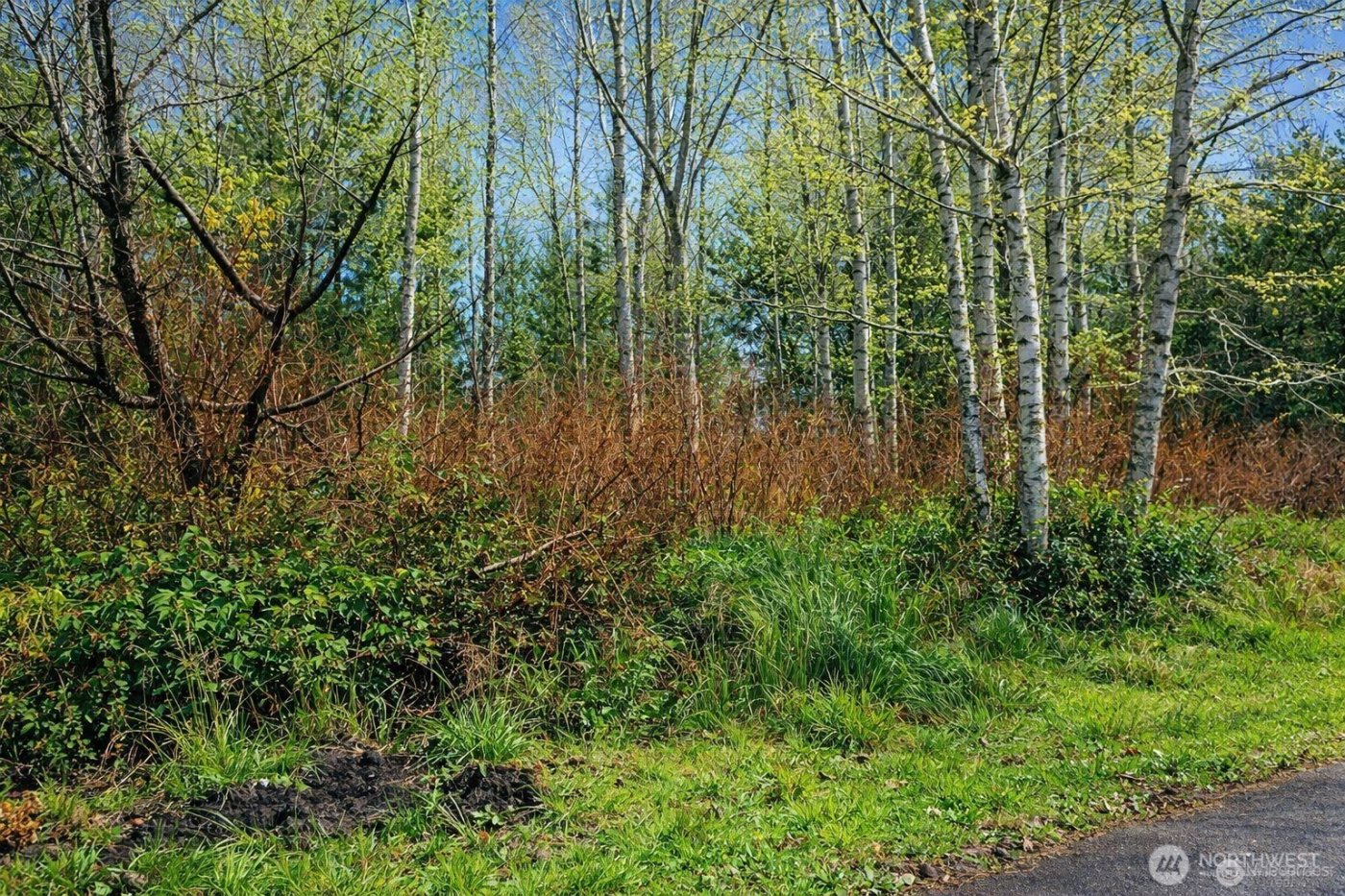 821 Duck Lake Drive NE, Ocean Shores, WA 98569