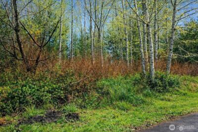 821 Duck Lake Drive NE, Ocean Shores, WA 98569 - Photo 3