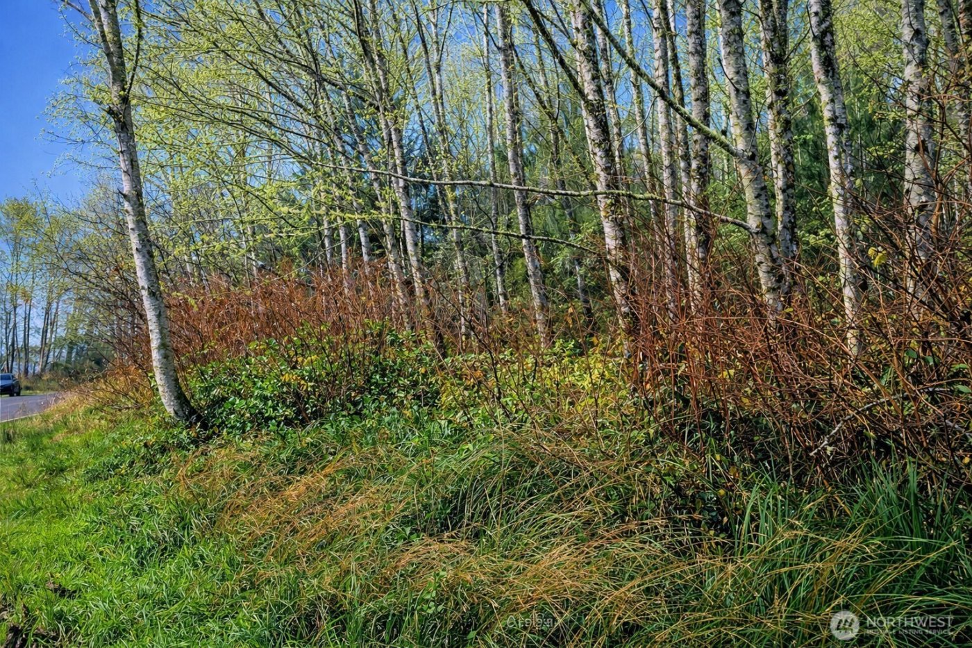 821 Duck Lake Drive NE, Ocean Shores, WA 98569