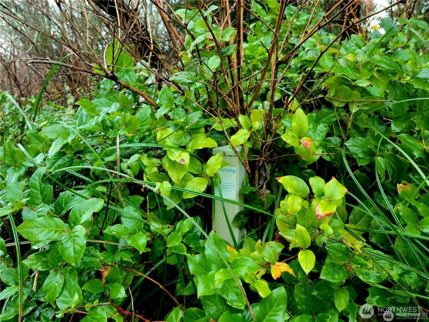 821 Duck Lake Drive NE, Ocean Shores, WA 98569