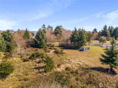 599 E Chance A La Mer NE, Ocean Shores, WA 98569 - Photo 10