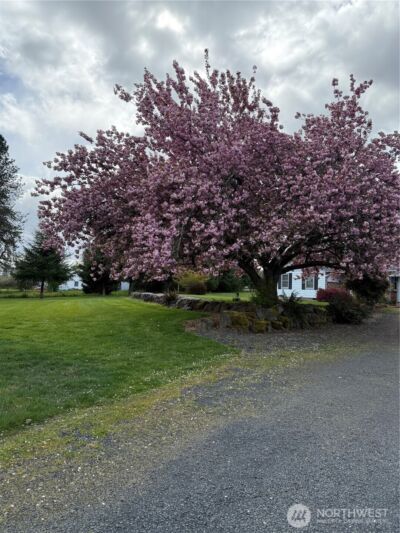 759 Nevil Road , Winlock, WA 98596 - Photo 11