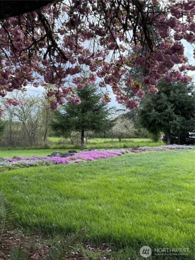 759 Nevil Road , Winlock, WA 98596 - Photo 33