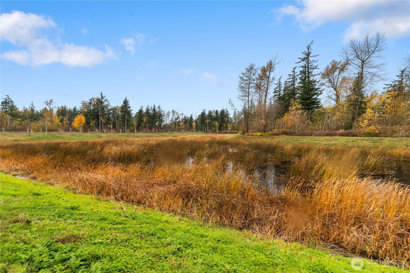 4235 Ambrosia Lane , Bellingham, WA 98226