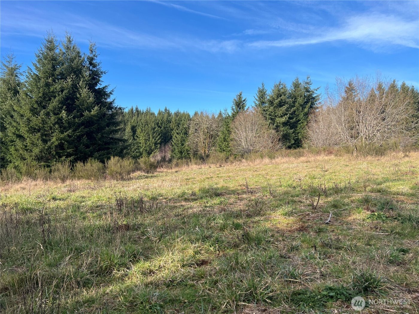 113 Red Rock Lane , Chehalis, WA 98532