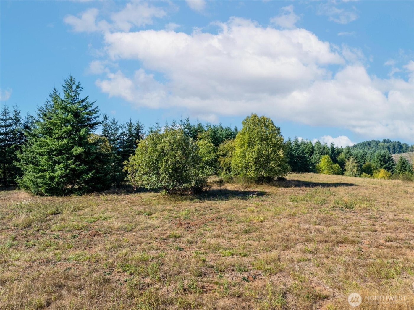 113 Red Rock Lane , Chehalis, WA 98532