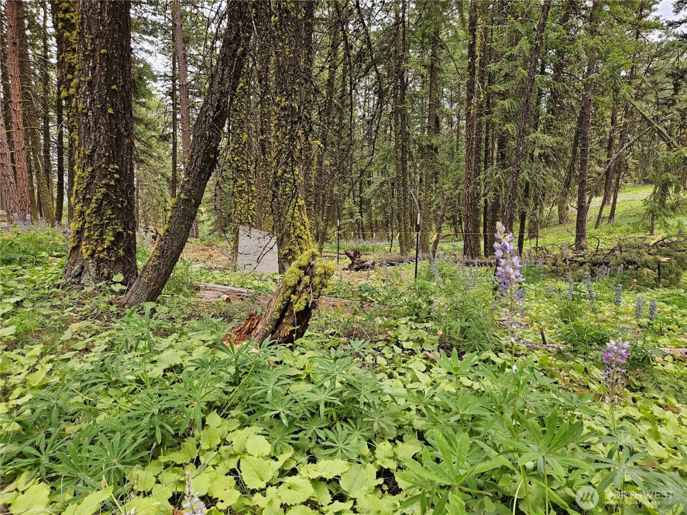 0 Muledeer Road , East Wenatchee, WA 98802