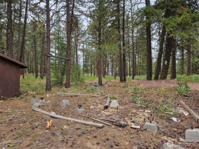 0 Muledeer Road , East Wenatchee, WA 98802 - Photo 20