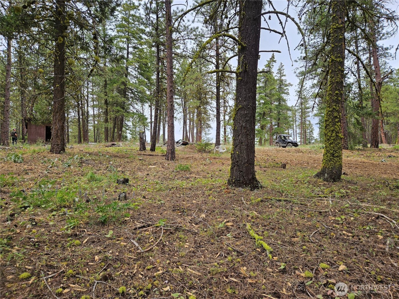 0 Muledeer Road , East Wenatchee, WA 98802