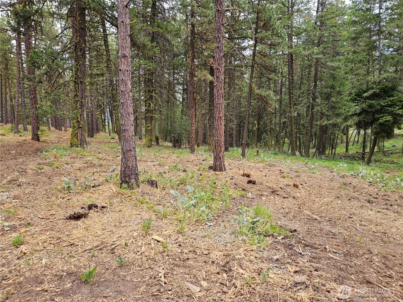 0 Muledeer Road , East Wenatchee, WA 98802